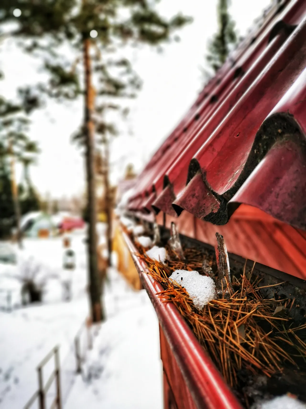 Clogged gutter filled with frozen leaves and ice