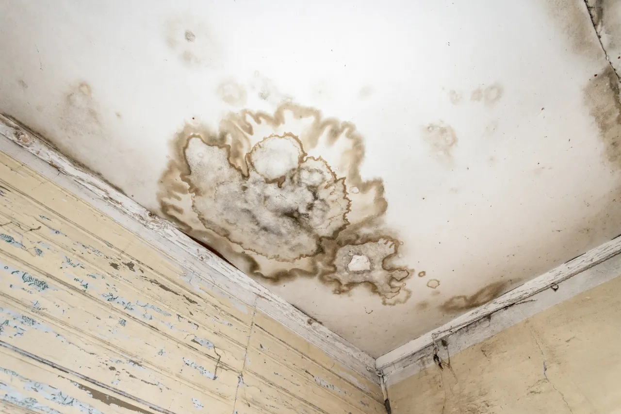 Water stain on a ceiling caused by a roof leak in a New York home